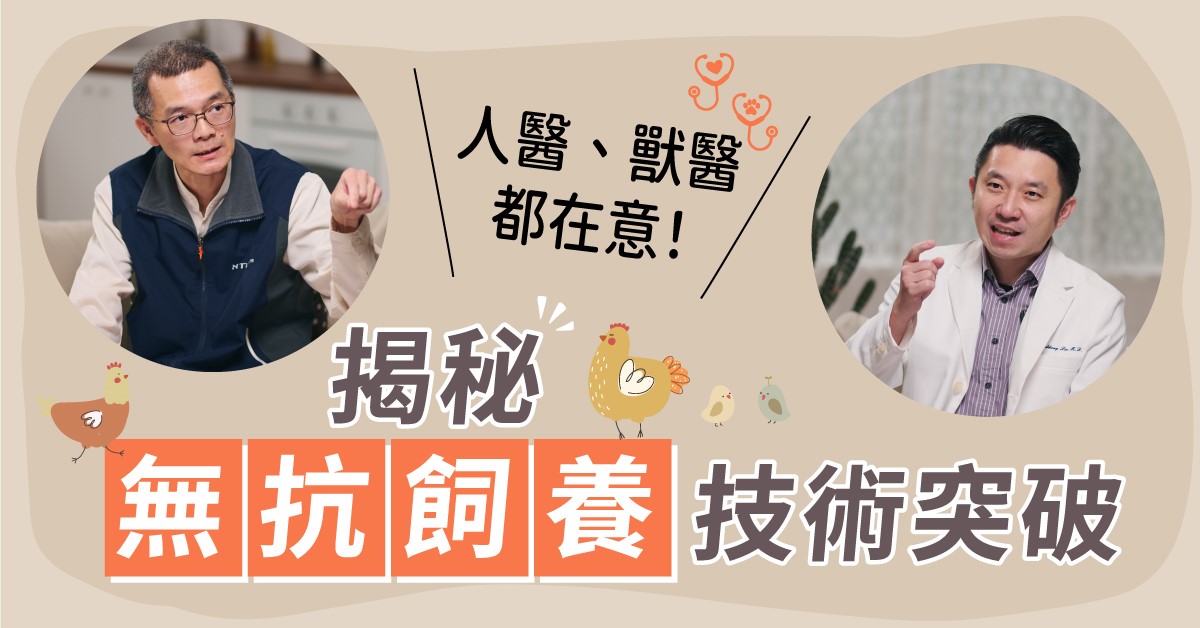 歐美新趨勢！從依賴抗生素到自然養成 人醫、獸醫怎麼看『無抗飼養』