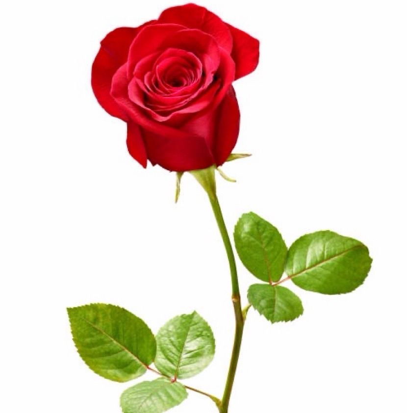 你對「婚姻耐受度」是什麼？是追求儀式感，還是需要個人空間，一測驗找出你的幸福臨界點