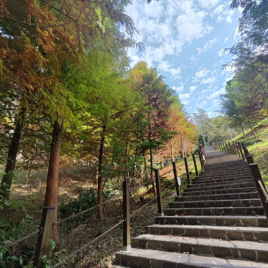 螢火蟲季登場前暖身，東勢林場3月21日免費入園，開園以來首次全面開放免票