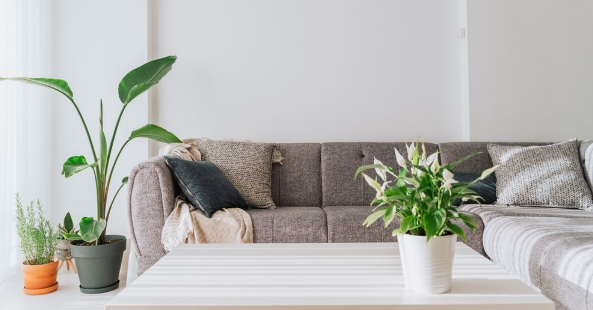 燈光亮度、色溫的情緒密碼！教你善用室內燈光，改善憂鬱