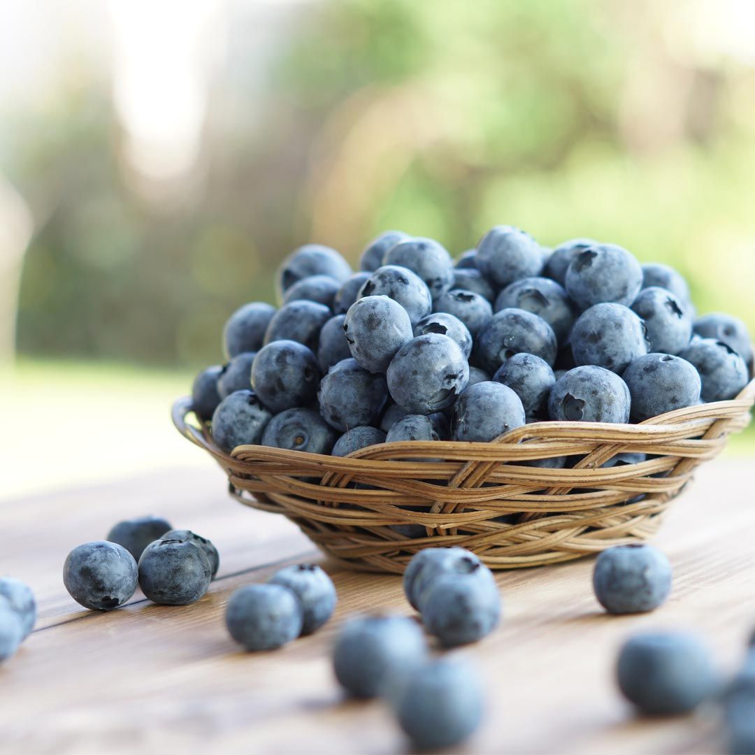 藍莓「這樣再吃」比新鮮的更營養！研究證實 花青素、維生素C都贏
