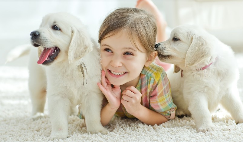 【寵物寶寶】狗狗到底有多愛你？10 個暖到心底的行為，用牠的方式告訴你「你是牠的全世界」