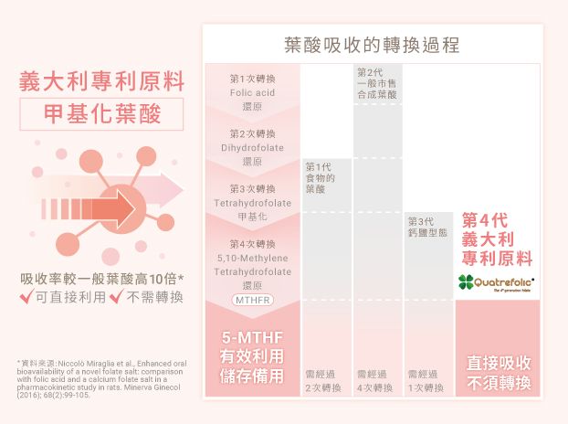 好運首選！好孕家安心好孕綜合維他命，每日1錠滿足營養所需-3