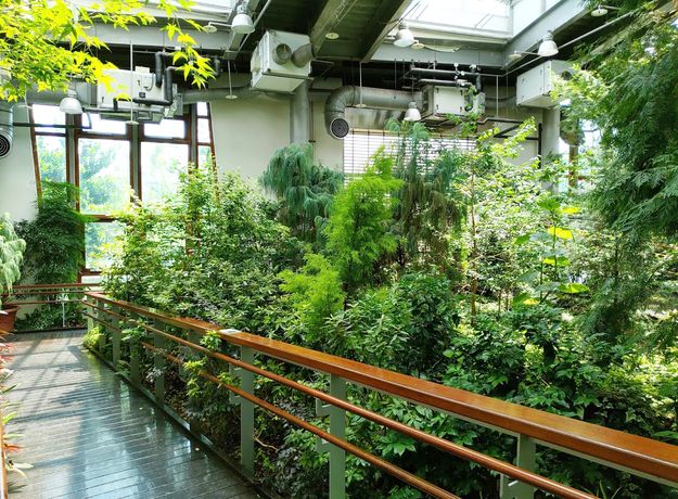 炎夏不出汗也能放電！北捷沿線6大親子室內景點，爸媽小孩一起涼爽玩整天
