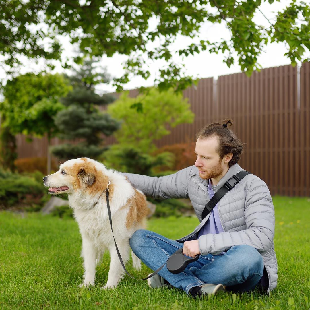 「寵物保母」熟齡來做可以嗎？市場狀態、月收入曝光，踏足毛孩長照走更遠