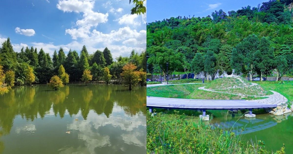帶孩子玩免費景點正夯！捷運信義東延段免費搭30天、野趣森林限時免門票、小人國姓林老師優惠一次整理