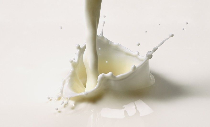 【營養師說健康】乳糖不耐症喝牛奶就腹瀉？就用無糖優酪乳、優格替代，三大策略降低不適，還能補鈣與蛋白質