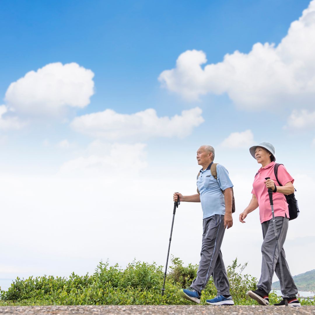 讓「走路」變有趣的魔法 《皮克敏》正成為熟齡生活的新寵