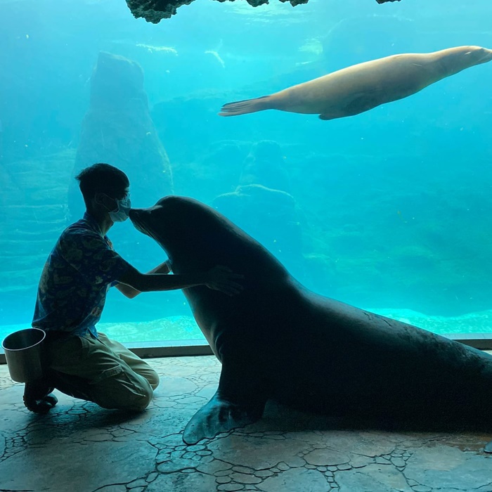 遠雄海洋公園鯨豚秀預告明年落幕！轉型「海洋主題遊育園」，帶孩子深度認識海洋