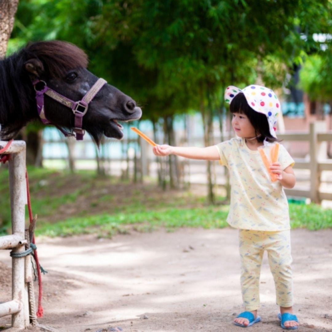 3歲童台中后里馬場墜馬，騎乘年齡限制未落實引關注