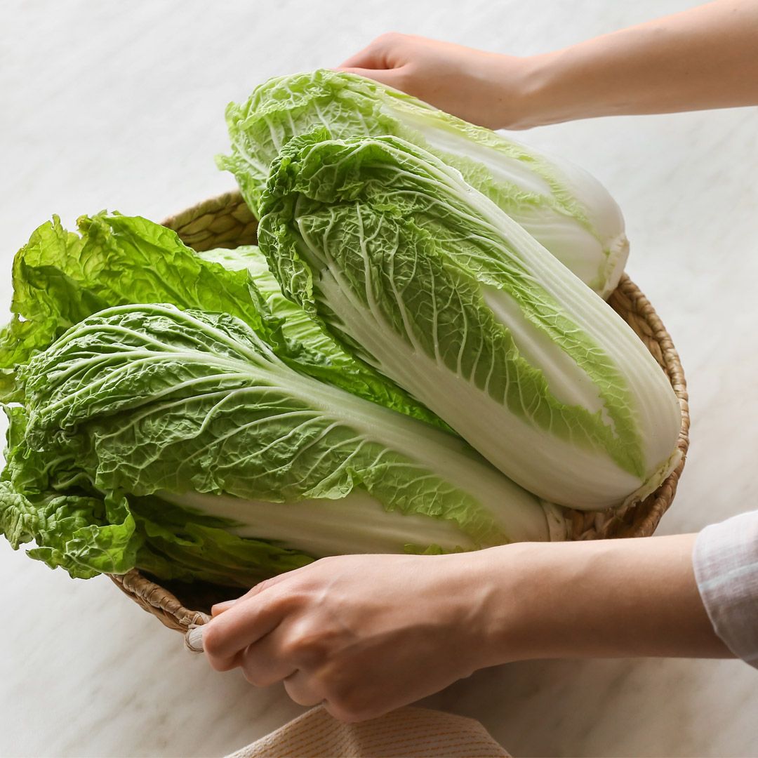 大白菜有黑點能吃嗎？跟小白菜差在哪？「抗癌神菜」功效、迷思一次看