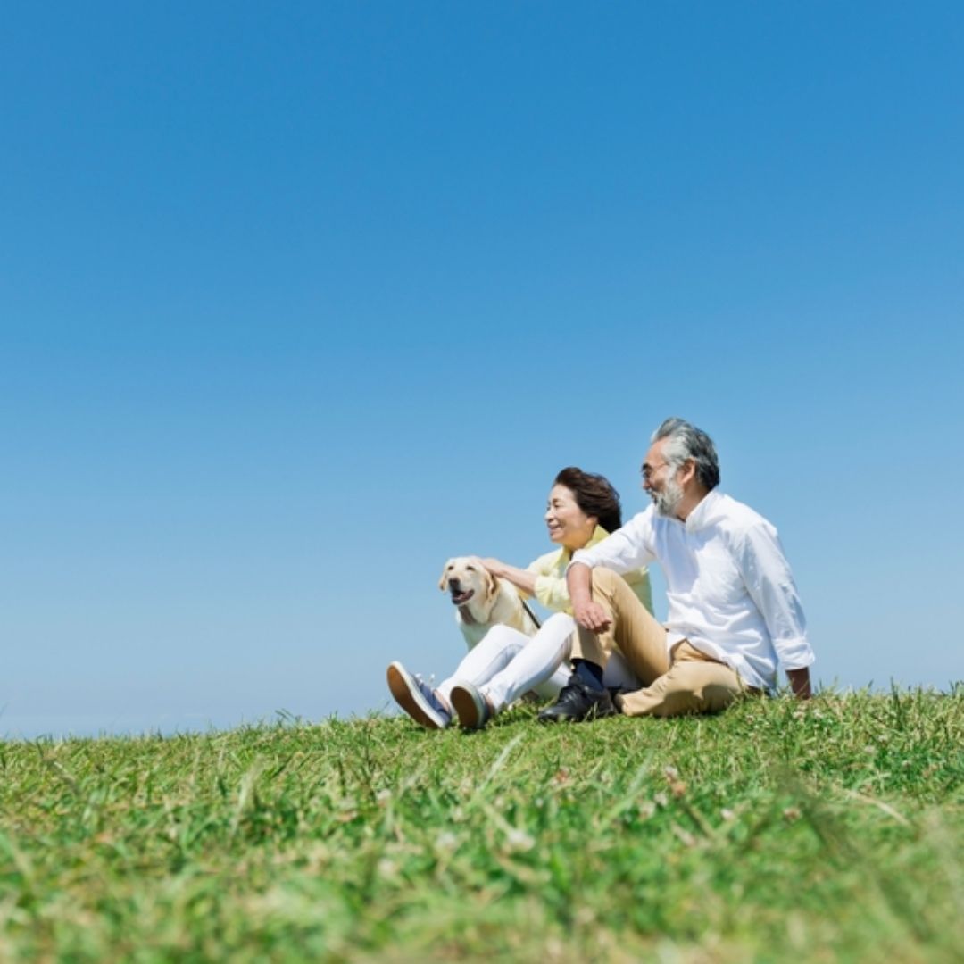 過年別只窩在家裡，也該走進自然：科學證實「走春」可以修復你的大腦與身體