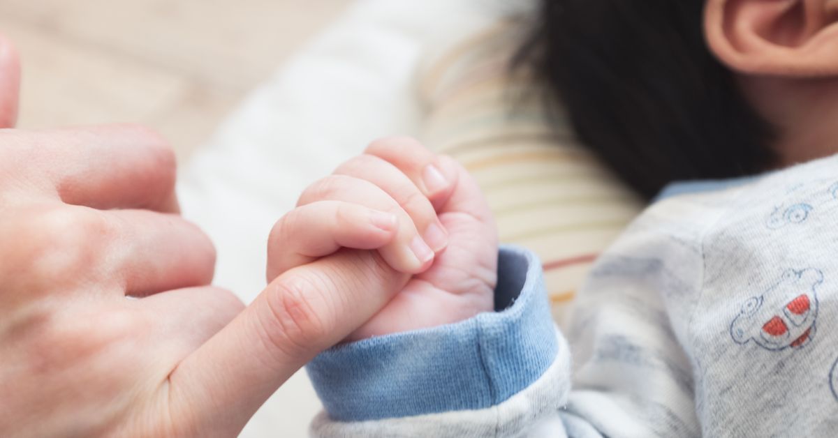 【哺乳心樂園】理性愛孩子，聰明選產品！給家長的真心話：孩子需要的是營養均衡且多樣化的飲食內容
