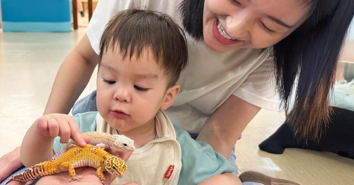 兒童節連假放電救星！煙波把飯店變成孩子的生態冒險樂園，爸媽也能輕鬆跟著玩