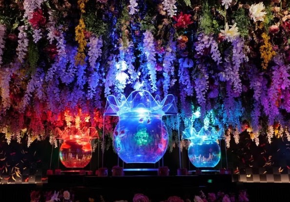 日本高人氣展覽「金魚藝術展」即將來台！不用遠赴東京 ， 時間、地點與價錢一次看