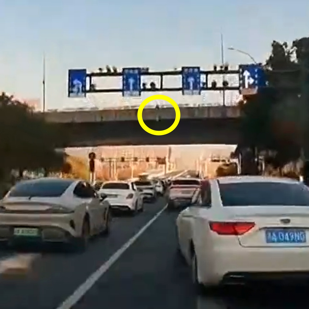 婆媳爭執，母拋幼女下天橋，自己再跳，網友看影片嚇傻