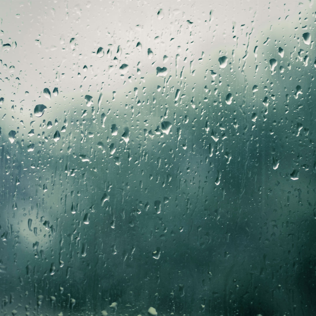 梅雨季如何避免黴菌滋生？掃除專家提醒6項NG家務事別犯