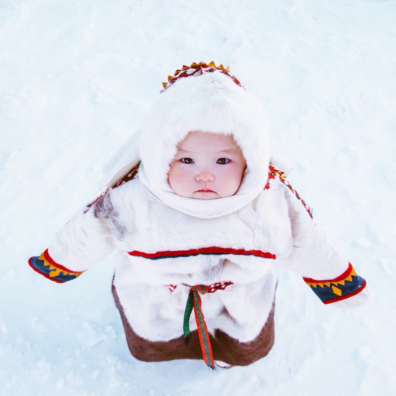 全台急凍警報！平地恐跌破5°C，專家揭「4大特徵」：至少還要撐兩週