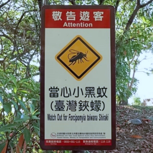 討厭的小黑蚊！給我一堆「紅豆冰」，症狀持續7~10天，如何預防？皮膚科醫師告訴你！