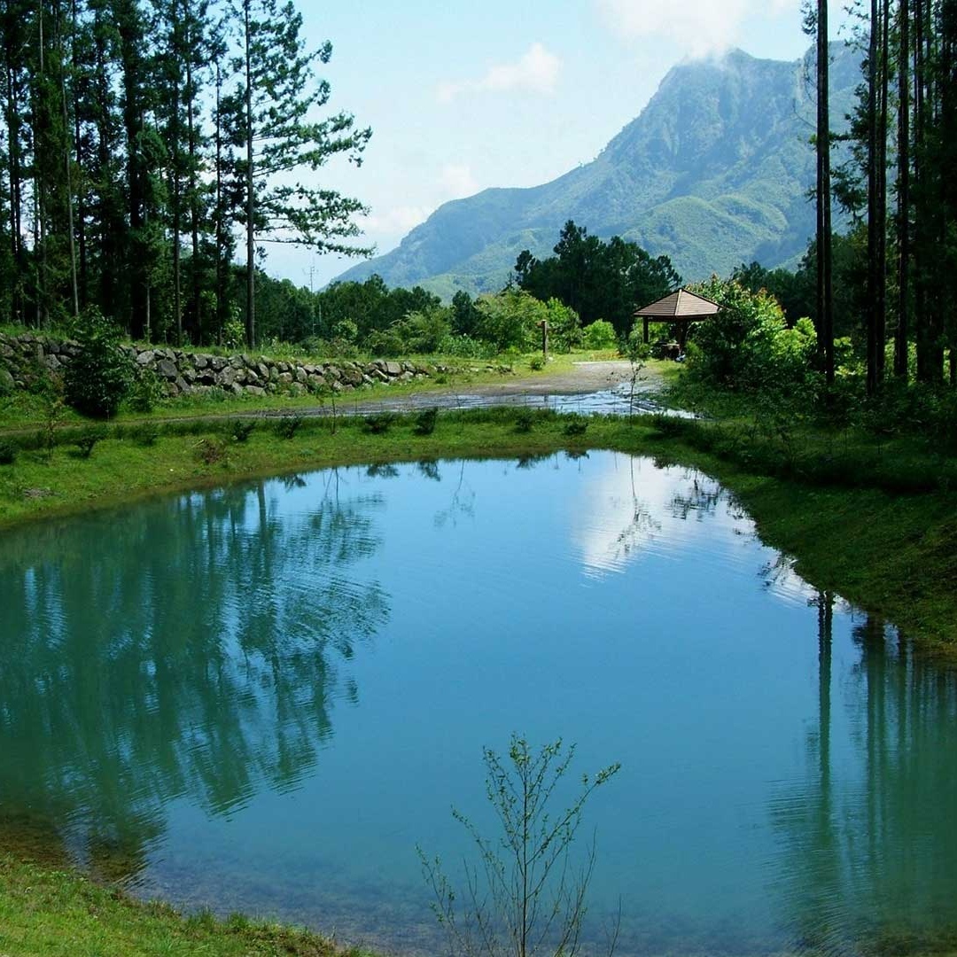 台灣最強森林遊樂區是這裡！適合長輩與親子，遊客讚風景美到超療癒