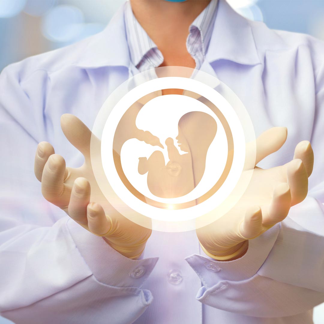 卵子很多也沒用？胚胎漂亮也會失敗？專家告訴你：影響試管嬰兒成敗的3大關鍵是...