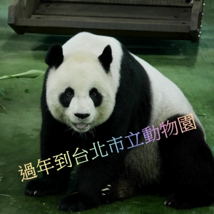 2024春節到臺北市立動物園，初一到初三發放「限量新春開運紅包」，購買動物園年節禮盒可嘉惠動物認養專戶