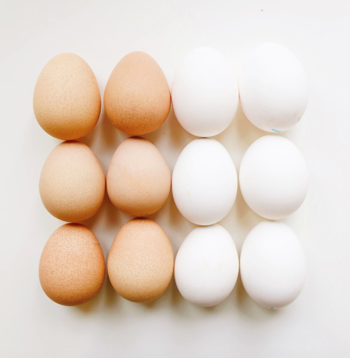 4萬顆毒蛋流進台中！上千好評名店全遭殃，35家中鏢名單震撼曝光，連鎖早餐店全受害