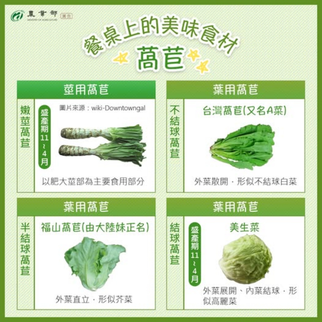 萵苣，脆嫩多汁的餐桌明星！有四種種類，一圖教你分辨，還有挑選與保存辦法，小心別和「這些水果」一起放