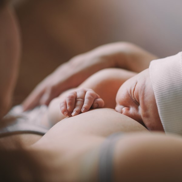 【哺乳心樂園】有新生兒黃疸時，一定要停母乳改配方奶嗎？