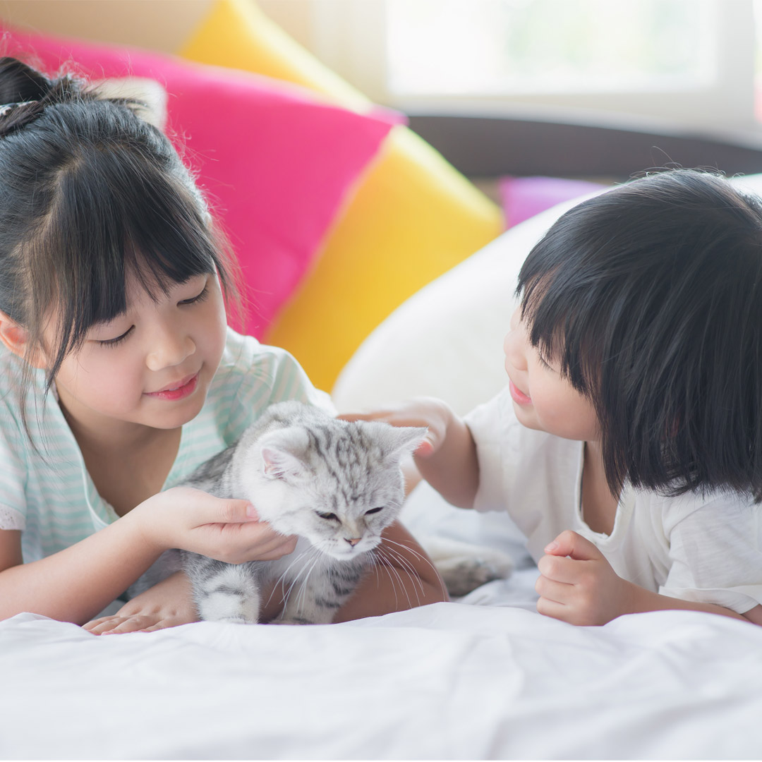 養寵物比養小孩省錢？養10年比一比，價差竟達「一間小套房」