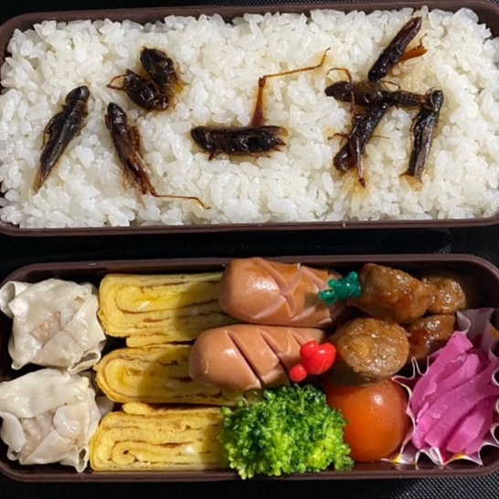 日本太太的復仇便當！吵架隔天的便當，打開驚見用蝗蟲排列出斗大的「笨蛋」，一系列心機設計，笑翻網友