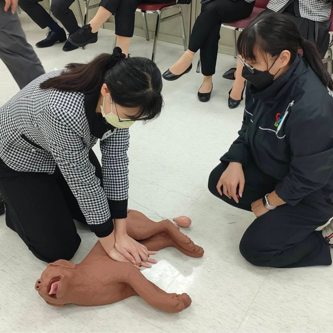 帶寵物寶寶逛街更安心了！遠東SOGO首創「寵物CPR」全方位友善空間