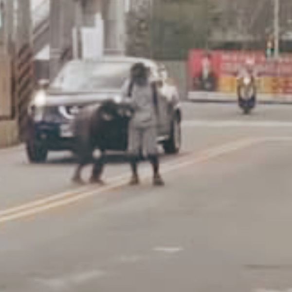 國小棒球隊扶老奶奶過馬路！影片一曝光，暖心孩子的舉動全網感動 ，同理心從小教起
