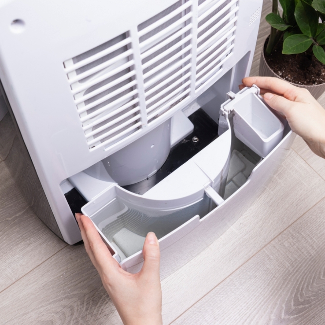 除濕機水箱要常洗！否則積聚「黏質沙雷氏菌」與生物膜，運作時細菌與黴菌孢子擴散，將導致過敏