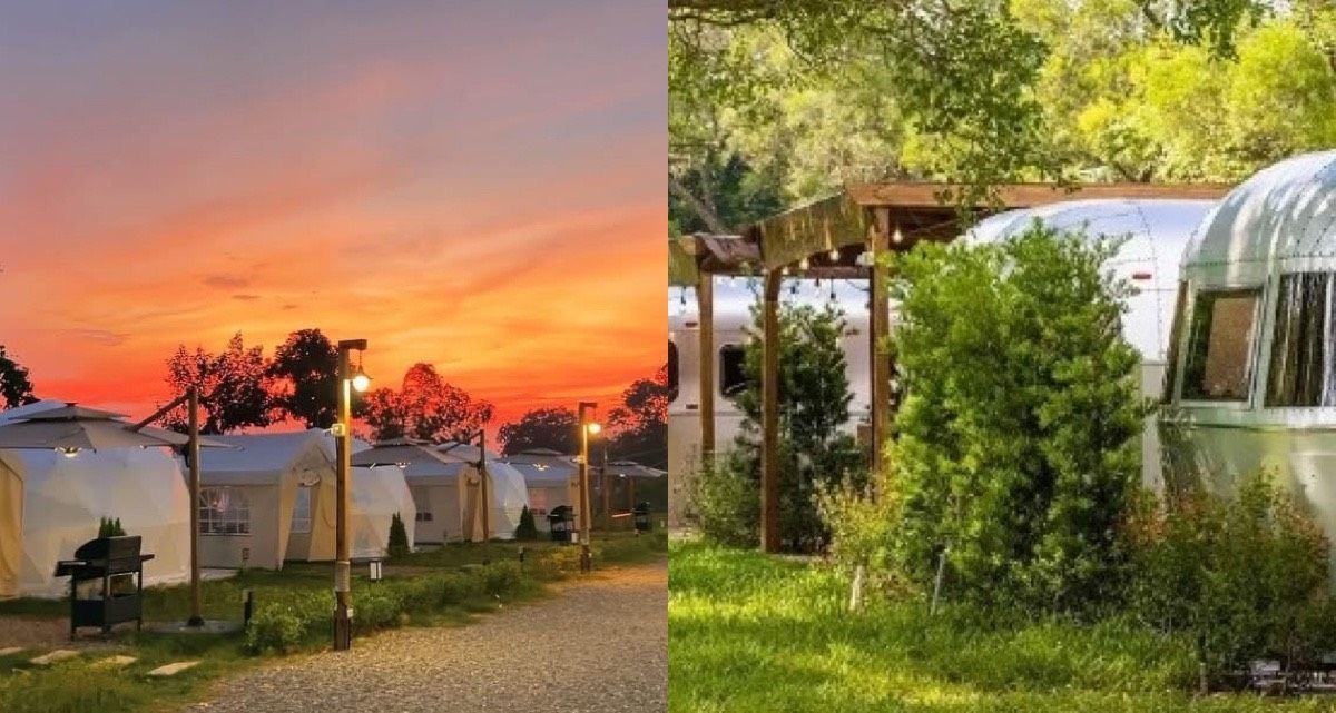 親子旅遊這樣玩！精選3大免裝備入住露營區，小孩放電、爸媽放鬆，就連毛孩都能入住的懶人露營首選