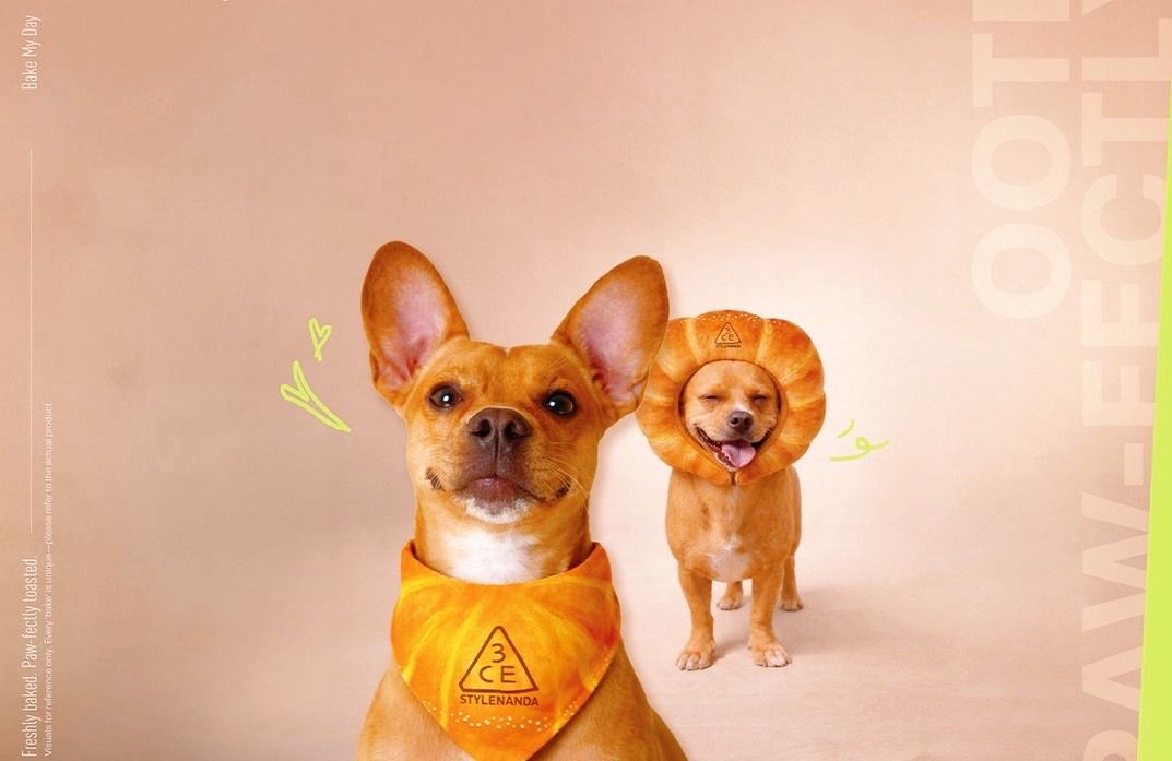 毛寶貝也能一起逛！3CE快閃店打卡換超萌領巾，Kiehl’s寵物友善新地標進駐LaLaport