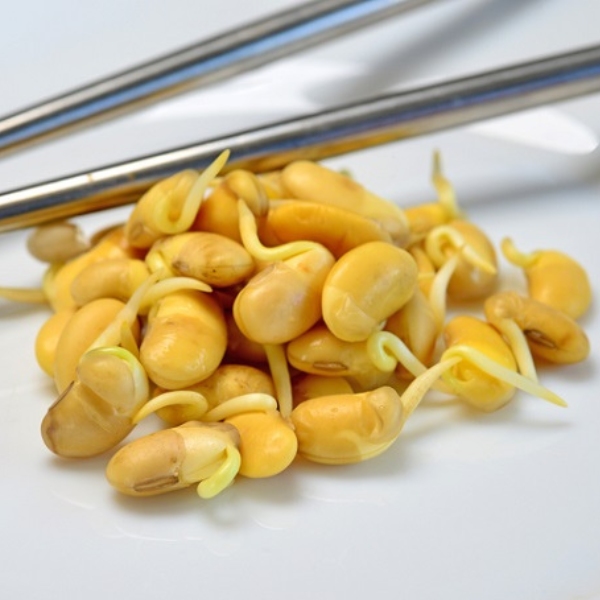 「3種食物發芽吃」更營養！專家大讚：有助調節血壓、降膽固醇和改善肥胖
