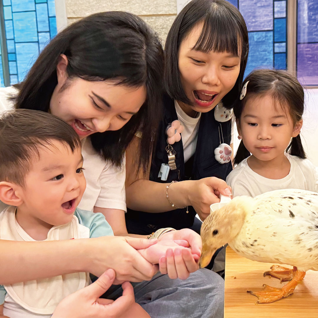 【最新秋冬親子旅遊】新竹煙波打造全台唯一「動物旅行總部」，帶孩子與生態明星零距離互動！