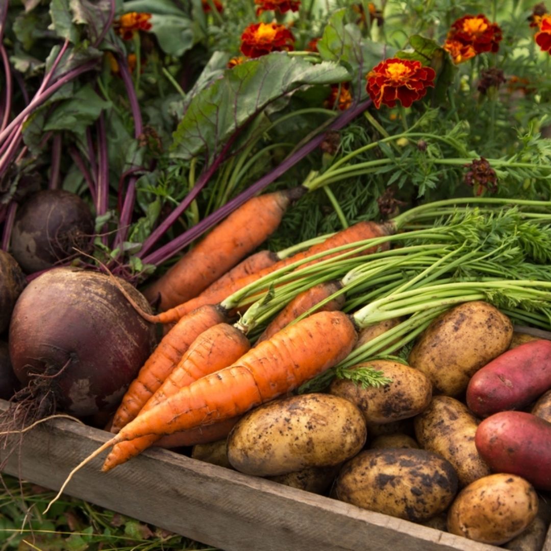 買新鮮蔬果不用靠運氣！全聯「數字密碼」，專家教你怎麼看！