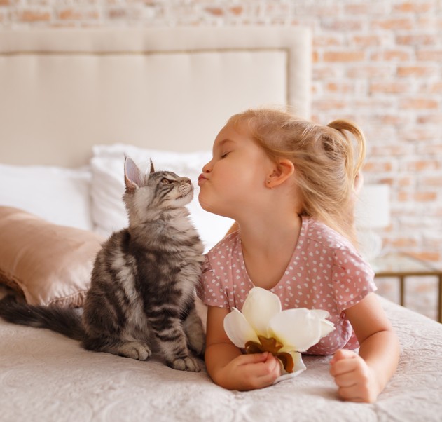 【寵物寶寶】貓咪「踏踏」是在說愛你嗎？3個原因，揭開毛孩可愛行為的祕密