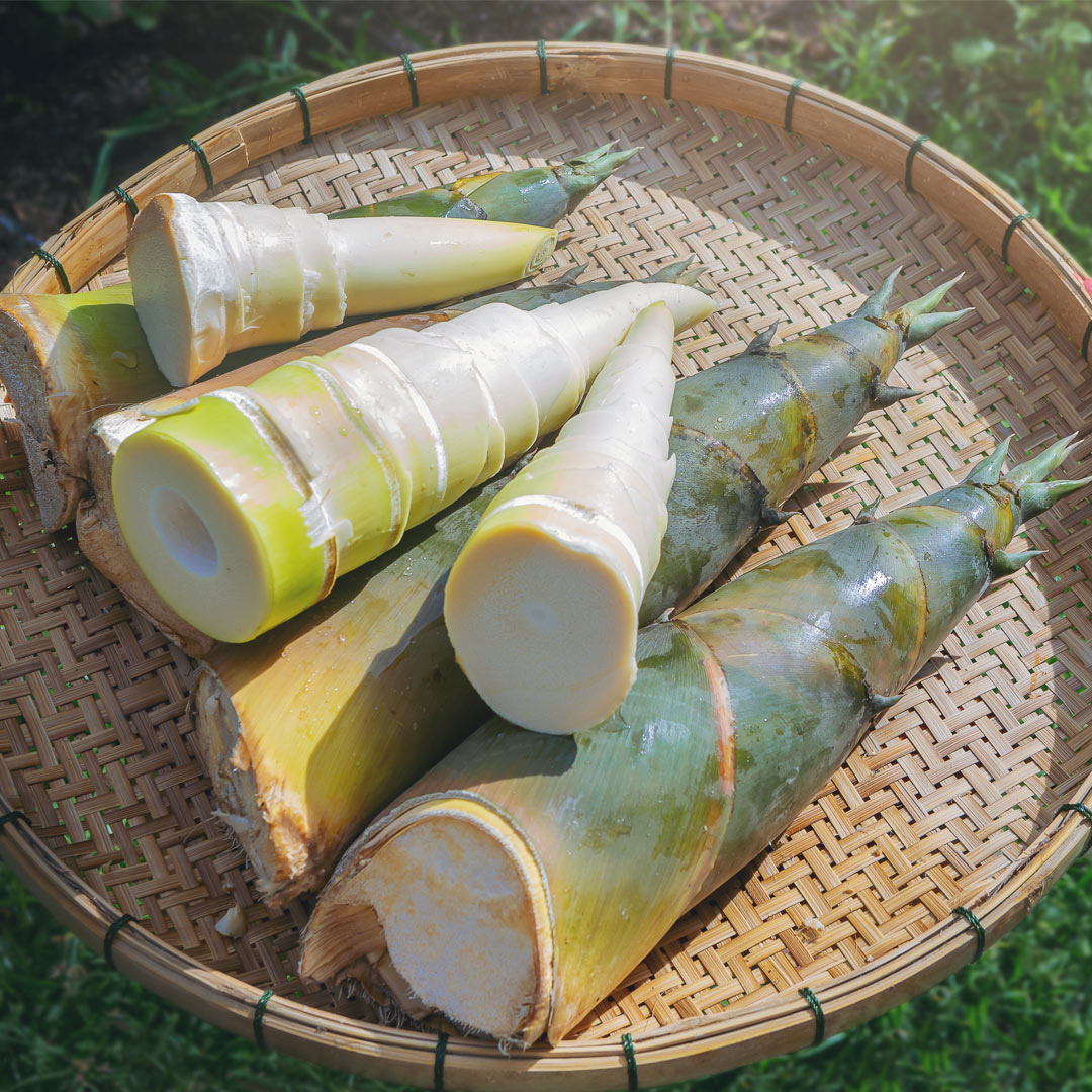 竹筍助消化、防便秘...5功效好處，7類人不宜多食！4招挑選鮮甜好筍＋2道料理食譜