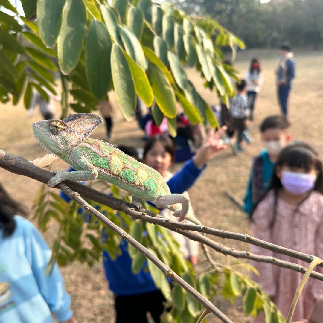 2024白晝之夜！11月2日於大安森林公園登場，推薦4個適合親子共同參加活動