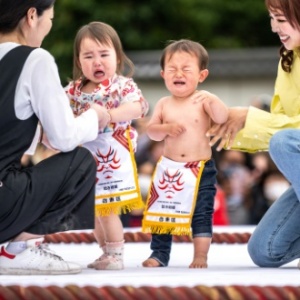 日本各地都會舉辦的傳統活動「泣き相撲」」寶寶哭泣相撲比賽，看寶寶兩兩對峙，誰先哭出來？