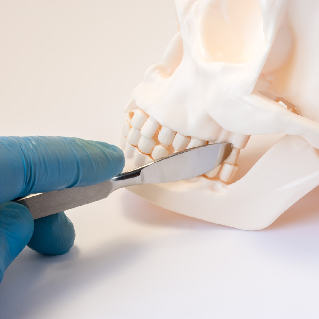 孩子跌倒傷到下巴要看哪一科？這一科不只是拔牙與植牙的專家，更是「守護顏面、維護生命」的重要醫療力量