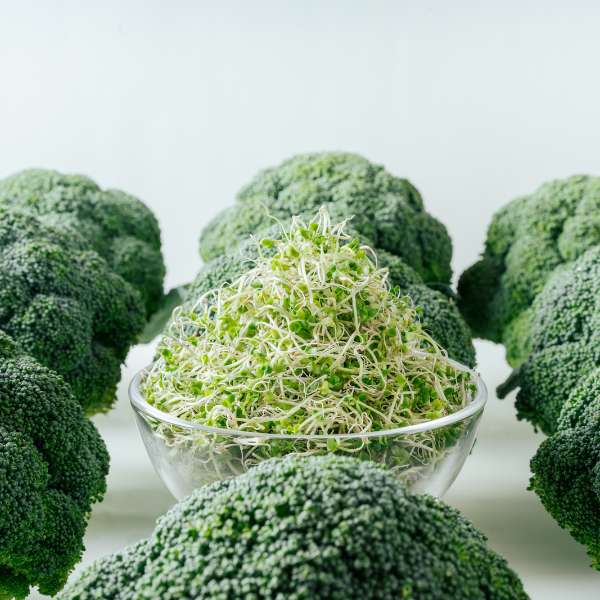 感冒怎麼好難好？日本研究緩解感冒症狀：食補吃出自癒力，神助功養出好體質