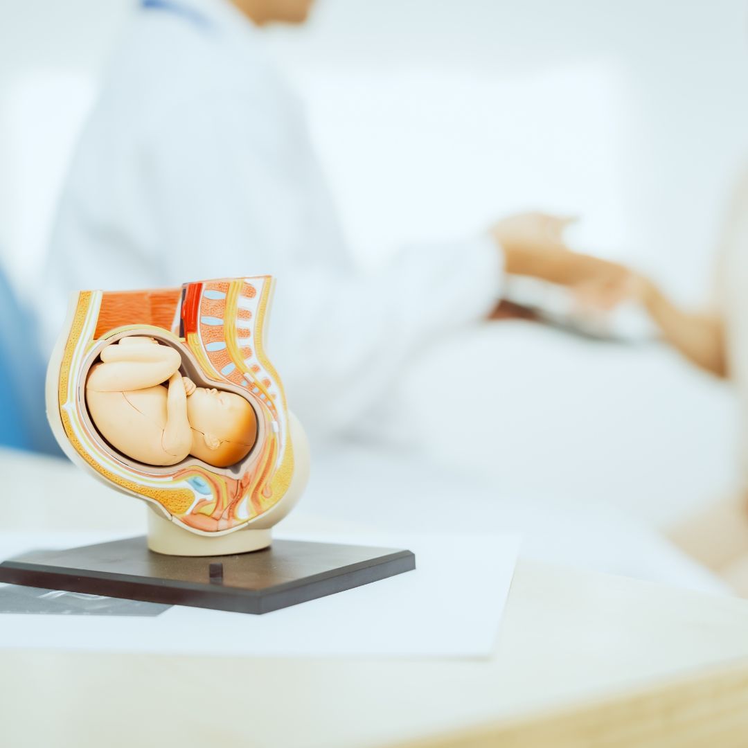 【曾浩原醫師專欄】正確認識產程遲滯，預防有妙招