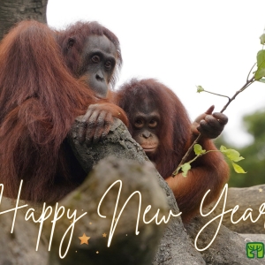元旦帶孩子去台北市立動物園，史無前例上午8點開園，陪動物一起吃早餐，還有親子電影跨年歡樂播映！