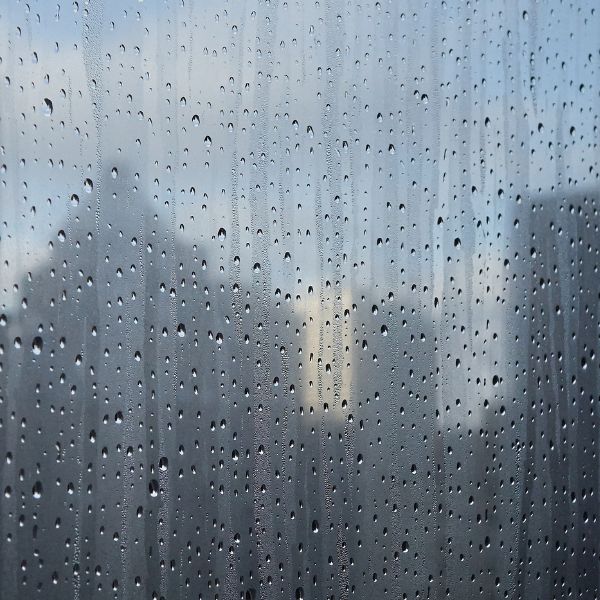 最強春雨來勢洶洶！除濕防霉好物一次看