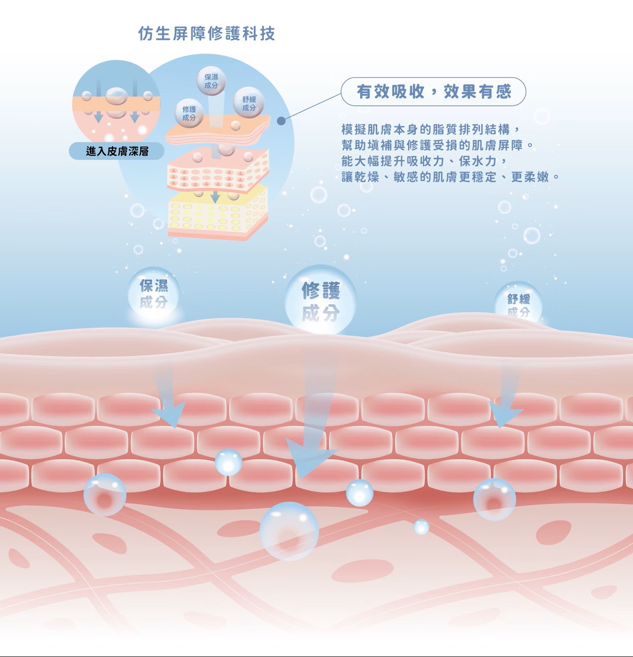德國功效實證！神奇灰灰乳，告別乾癢泛紅-10