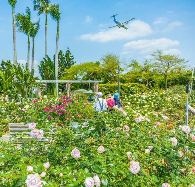 新生公園不只有臺北玫瑰園，還有讓孩子放電的「森林休憩攀爬設施」，連大人都想玩，假日就全家一起出遊，賞花攀爬樂無窮